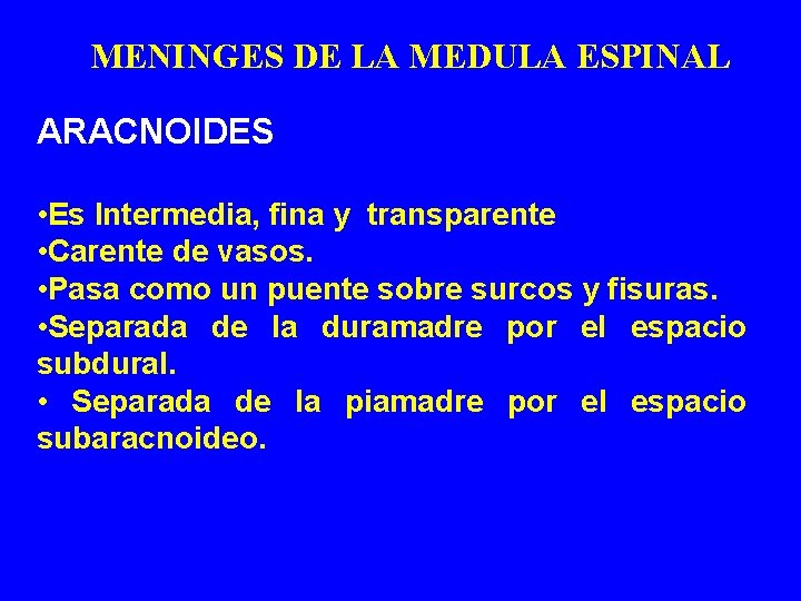 MENINGES DE LA MEDULA ESPINAL ARACNOIDES • Es Intermedia, fina y transparente • Carente MENINGES DE LA MEDULA ESPINAL ARACNOIDES • Es Intermedia, fina y transparente • Carente