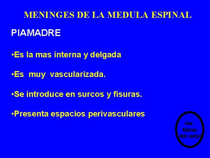 MENINGES DE LA MEDULA ESPINAL PIAMADRE • Es la mas interna y delgada • MENINGES DE LA MEDULA ESPINAL PIAMADRE • Es la mas interna y delgada •