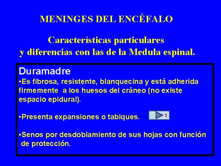 MENINGES DEL ENCÉFALO Características particulares y diferencias con las de la Medula espinal. Duramadre MENINGES DEL ENCÉFALO Características particulares y diferencias con las de la Medula espinal. Duramadre
