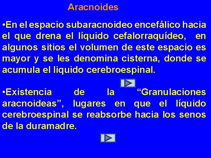 Aracnoides • En el espacio subaracnoideo encefálico hacia el que drena el líquido cefalorraquídeo, Aracnoides • En el espacio subaracnoideo encefálico hacia el que drena el líquido cefalorraquídeo,