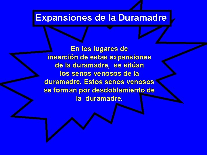 Expansiones de la Duramadre En los lugares de inserción de estas expansiones de la Expansiones de la Duramadre En los lugares de inserción de estas expansiones de la
