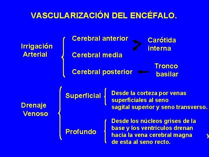 VASCULARIZACIÓN DEL ENCÉFALO. Irrigación Arterial Cerebral anterior Cerebral media Cerebral posterior Superficial Drenaje Venoso VASCULARIZACIÓN DEL ENCÉFALO. Irrigación Arterial Cerebral anterior Cerebral media Cerebral posterior Superficial Drenaje Venoso
