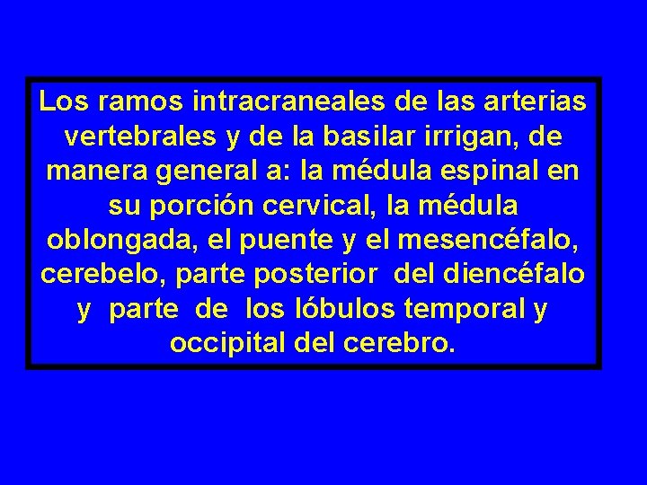Los ramos intracraneales de las arterias vertebrales y de la basilar irrigan, de manera Los ramos intracraneales de las arterias vertebrales y de la basilar irrigan, de manera