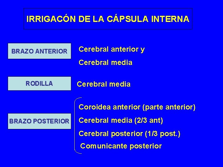 IRRIGACÓN DE LA CÁPSULA INTERNA BRAZO ANTERIOR Cerebral anterior y Cerebral media RODILLA Cerebral IRRIGACÓN DE LA CÁPSULA INTERNA BRAZO ANTERIOR Cerebral anterior y Cerebral media RODILLA Cerebral
