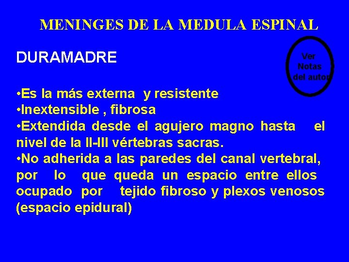 MENINGES DE LA MEDULA ESPINAL DURAMADRE Ver Notas del autor • Es la más MENINGES DE LA MEDULA ESPINAL DURAMADRE Ver Notas del autor • Es la más