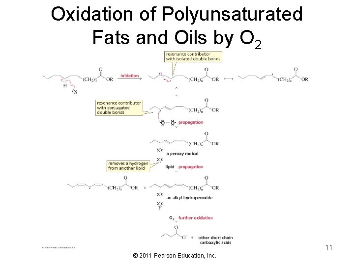 Oxidation of Polyunsaturated Fats and Oils by O 2 11 © 2011 Pearson Education,