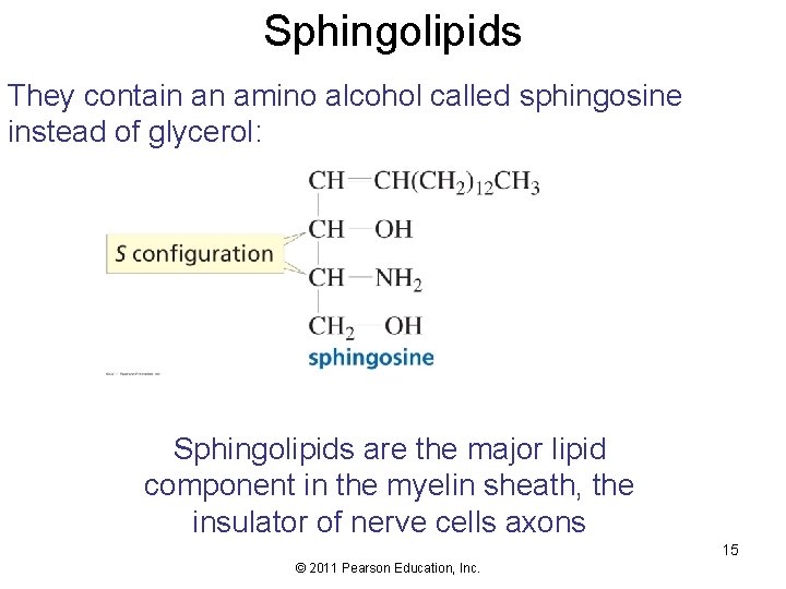 Sphingolipids They contain an amino alcohol called sphingosine instead of glycerol: Sphingolipids are the