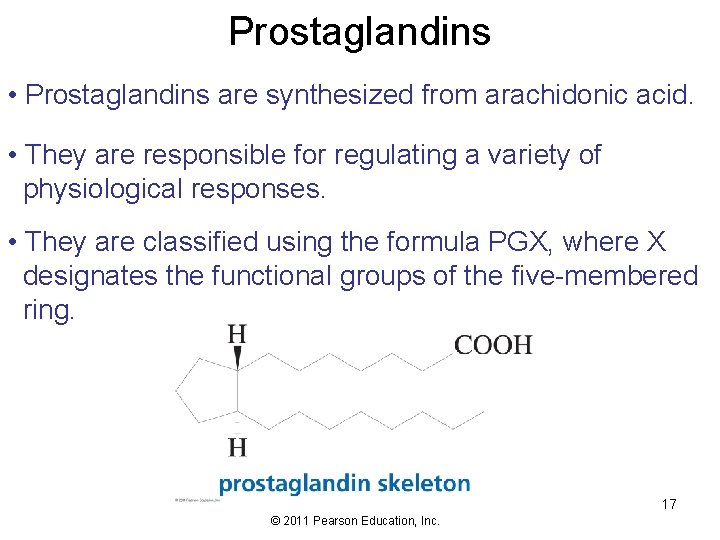 Prostaglandins • Prostaglandins are synthesized from arachidonic acid. • They are responsible for regulating