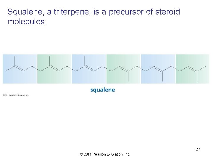 Squalene, a triterpene, is a precursor of steroid molecules: 27 © 2011 Pearson Education,