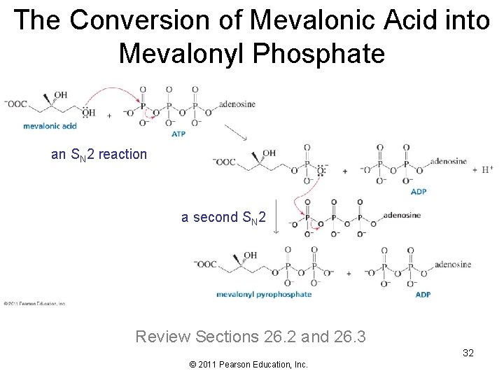 The Conversion of Mevalonic Acid into Mevalonyl Phosphate an SN 2 reaction a second