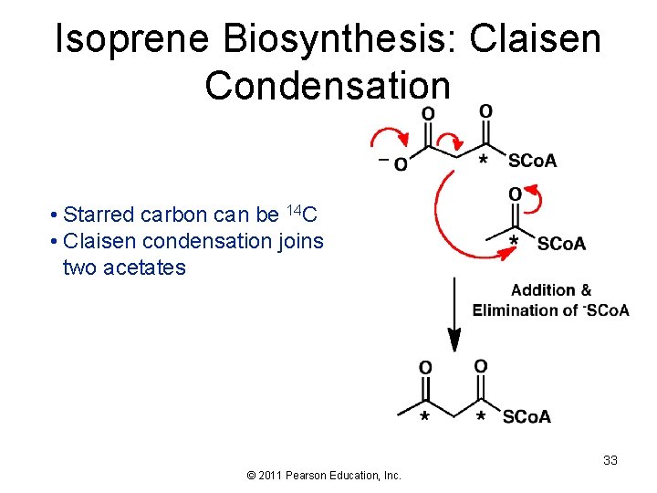 Isoprene Biosynthesis: Claisen Condensation • Starred carbon can be 14 C • Claisen condensation
