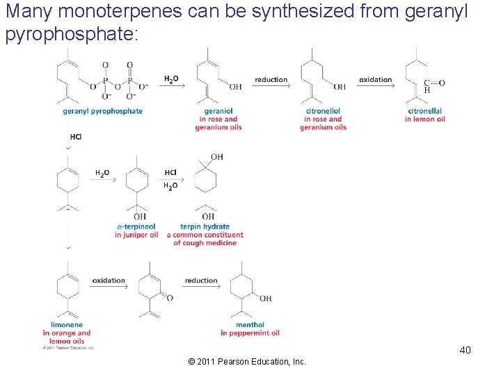 Many monoterpenes can be synthesized from geranyl pyrophosphate: 40 © 2011 Pearson Education, Inc.