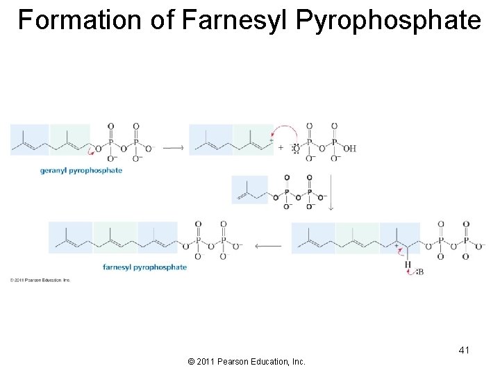 Formation of Farnesyl Pyrophosphate 41 © 2011 Pearson Education, Inc. 