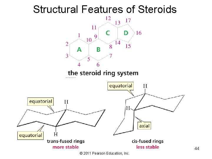 Structural Features of Steroids 44 © 2011 Pearson Education, Inc. 