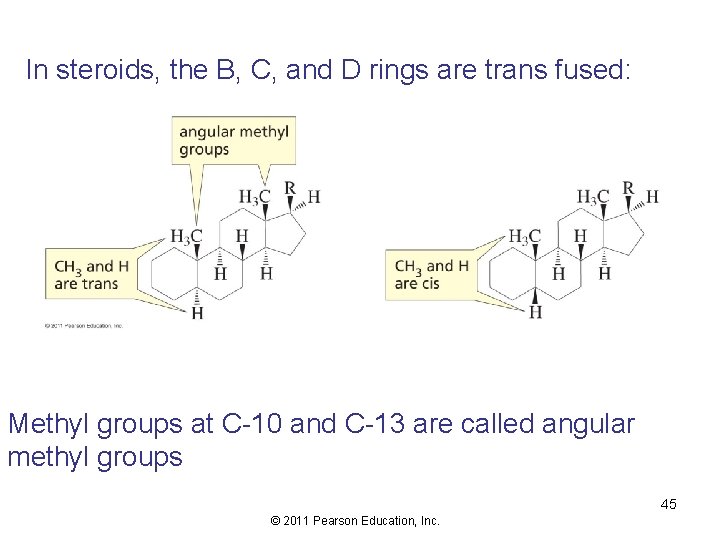 In steroids, the B, C, and D rings are trans fused: Methyl groups at