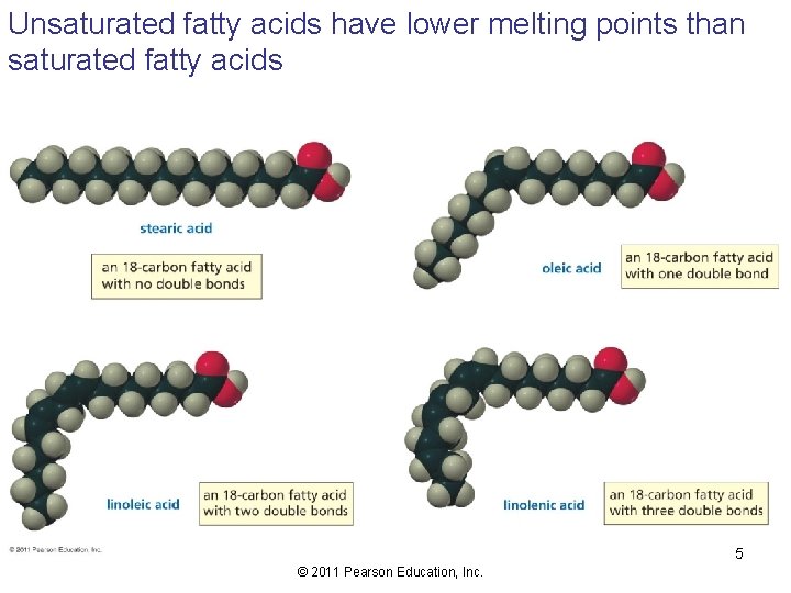 Unsaturated fatty acids have lower melting points than saturated fatty acids 5 © 2011