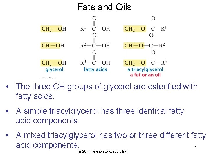 Fats and Oils • The three OH groups of glycerol are esterified with fatty