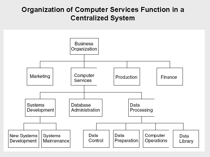 Organization of Computer Services Function in a Centralized System 