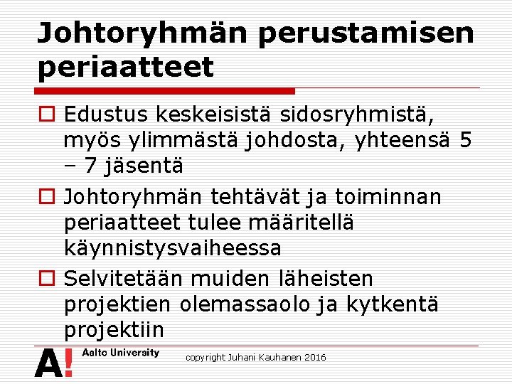 Johtoryhmän perustamisen periaatteet o Edustus keskeisistä sidosryhmistä, myös ylimmästä johdosta, yhteensä 5 – 7