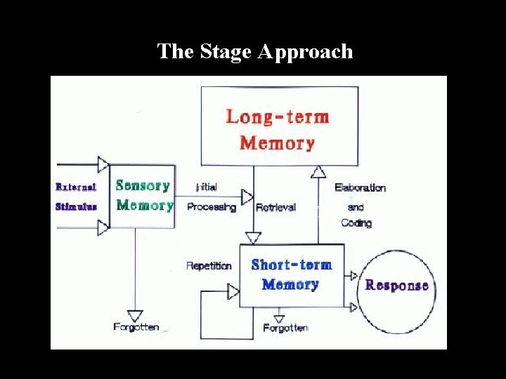 The Stage Approach Draw and describe a model