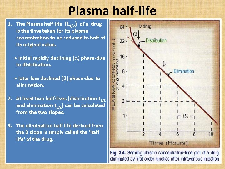 Plasma half-life 1. The Plasma half-life (t 1/2) of a drug is the time