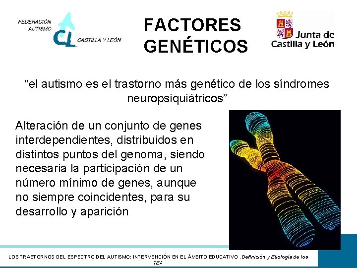 FACTORES GENÉTICOS “el autismo es el trastorno más genético de los síndromes neuropsiquiátricos” Alteración