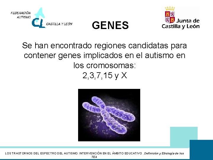 GENES Se han encontrado regiones candidatas para contener genes implicados en el autismo en