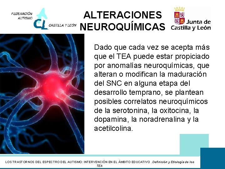 ALTERACIONES NEUROQUÍMICAS Dado que cada vez se acepta más que el TEA puede estar