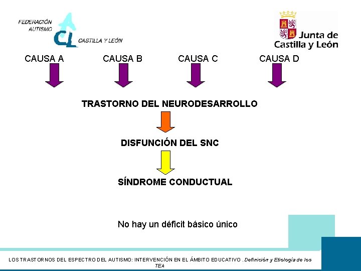 CAUSA A CAUSA B CAUSA C CAUSA D TRASTORNO DEL NEURODESARROLLO DISFUNCIÓN DEL SNC