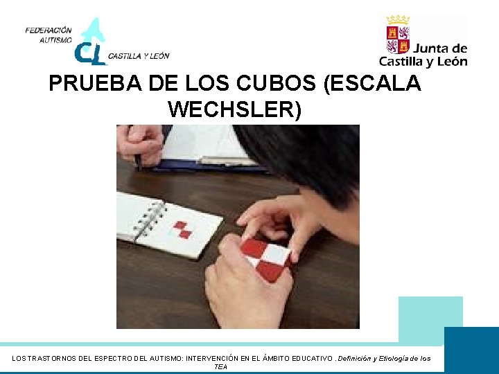 PRUEBA DE LOS CUBOS (ESCALA WECHSLER) LOS TRASTORNOS DEL ESPECTRO DEL AUTISMO: INTERVENCIÓN EN