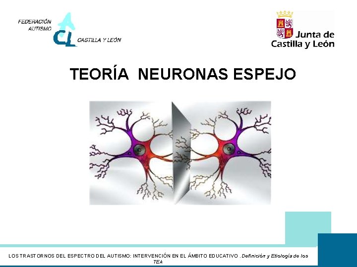 TEORÍA NEURONAS ESPEJO LOS TRASTORNOS DEL ESPECTRO DEL AUTISMO: INTERVENCIÓN EN EL ÁMBITO EDUCATIVO.