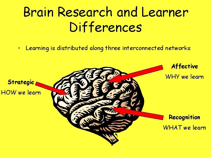 Brain Research and Learner Differences • Learning is distributed along three interconnected networks Affective