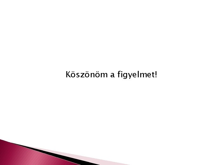 Köszönöm a figyelmet! 