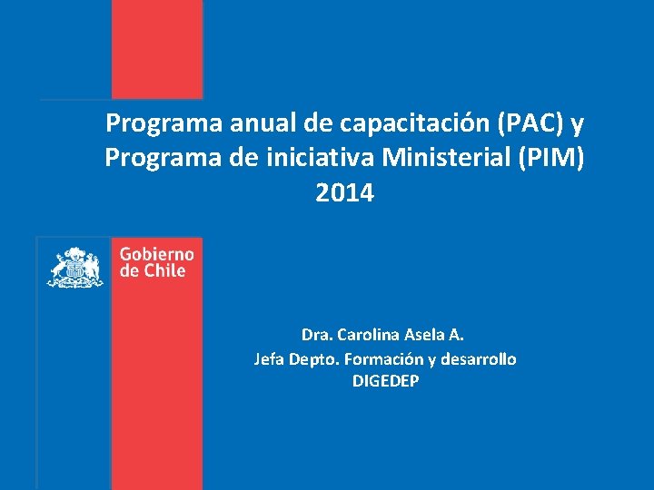 Programa anual de capacitación (PAC) y Programa de iniciativa Ministerial (PIM) 2014 Dra. Carolina