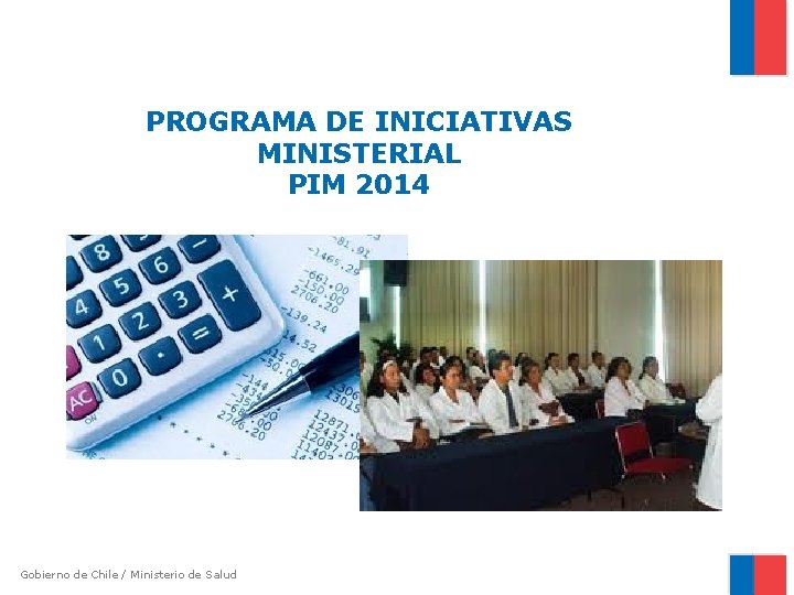 PROGRAMA DE INICIATIVAS MINISTERIAL PIM 2014 Gobierno de Chile / Ministerio de Salud 