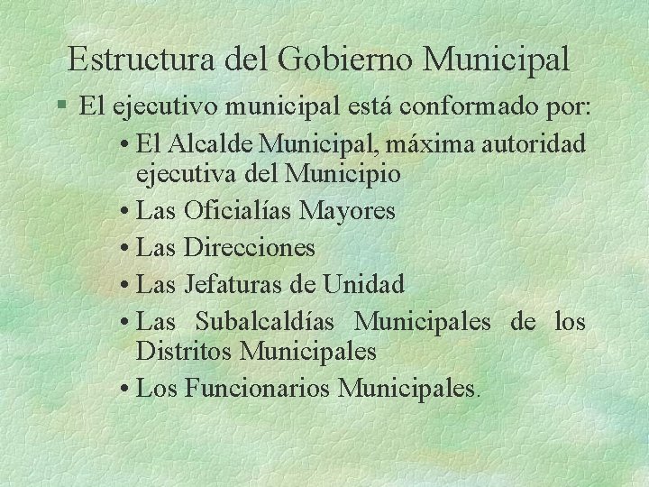  Estructura del Gobierno Municipal § El ejecutivo municipal está conformado por: • El