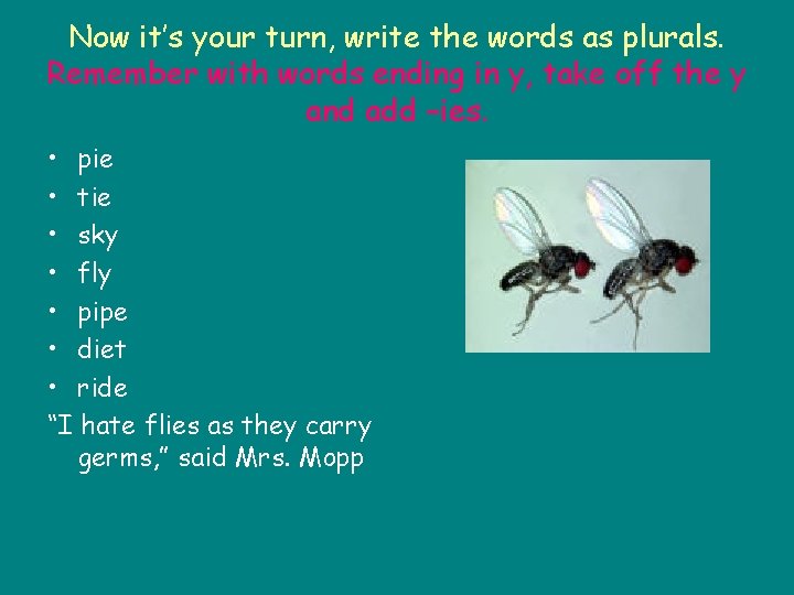 Now it’s your turn, write the words as plurals. Remember with words ending in