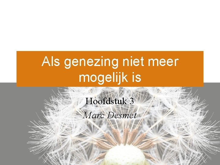 Als genezing niet meer mogelijk is Hoofdstuk 3 Marc Desmet 