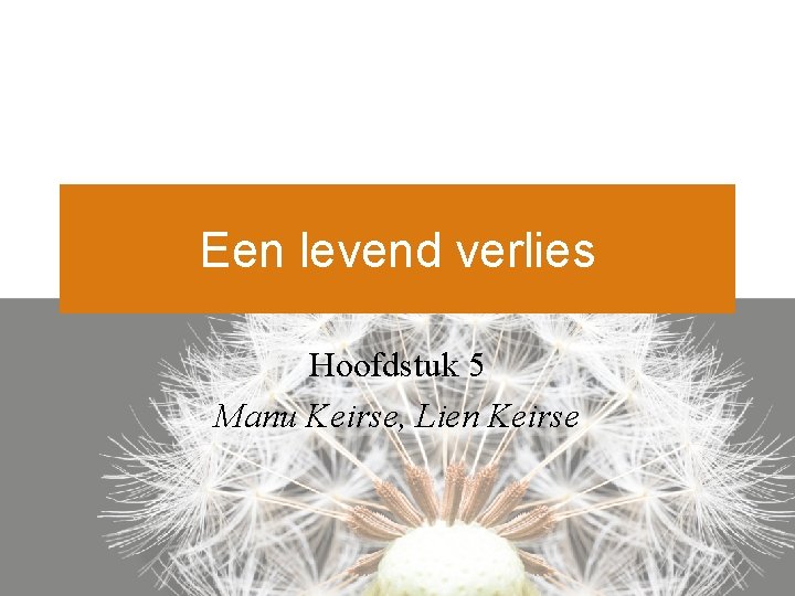 Een levend verlies Hoofdstuk 5 Manu Keirse, Lien Keirse 