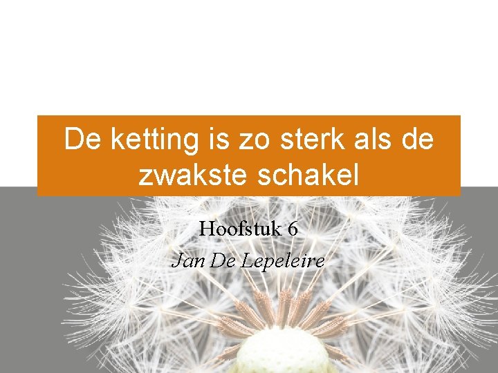 De ketting is zo sterk als de zwakste schakel Hoofstuk 6 Jan De Lepeleire