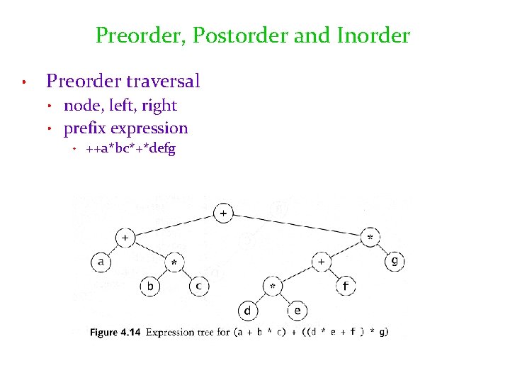 Preorder, Postorder and Inorder • Preorder traversal node, left, right • prefix expression •