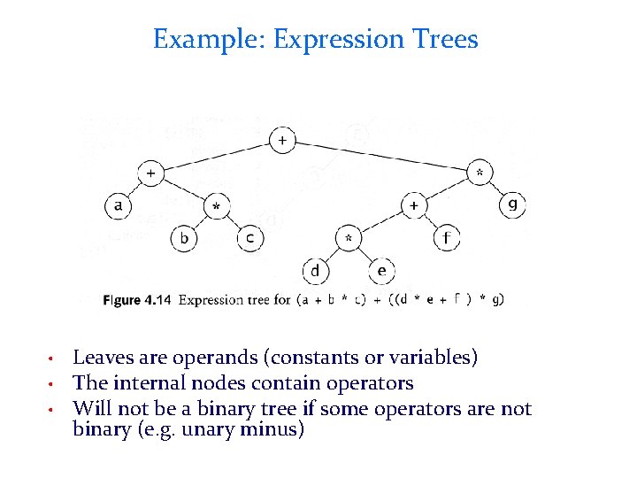 Example: Expression Trees • • • Leaves are operands (constants or variables) The internal
