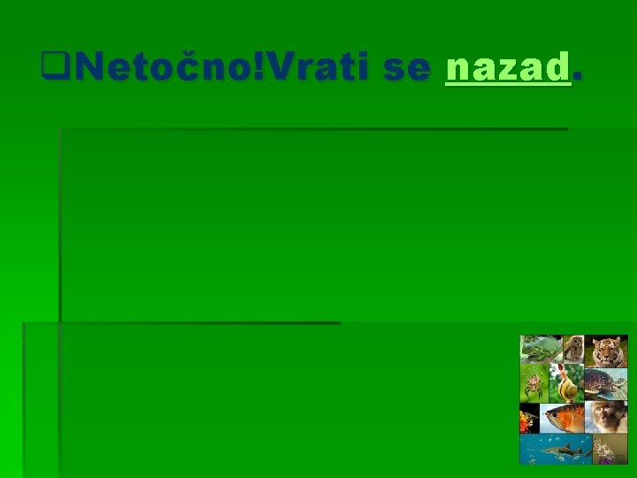 q. Netočno!Vrati se nazad. 