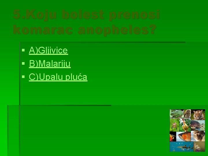 5. Koju bolest prenosi komarac anopheles? § § § A)Gljivice B)Malariju C)Upalu pluća 