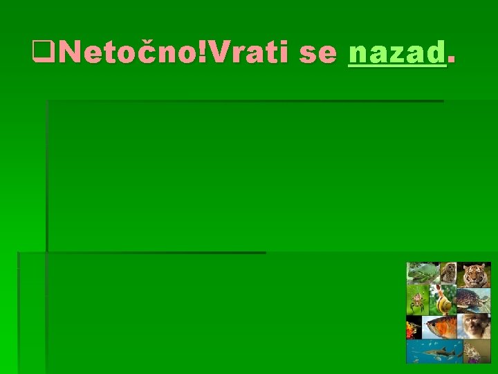 q. Netočno!Vrati se nazad. 