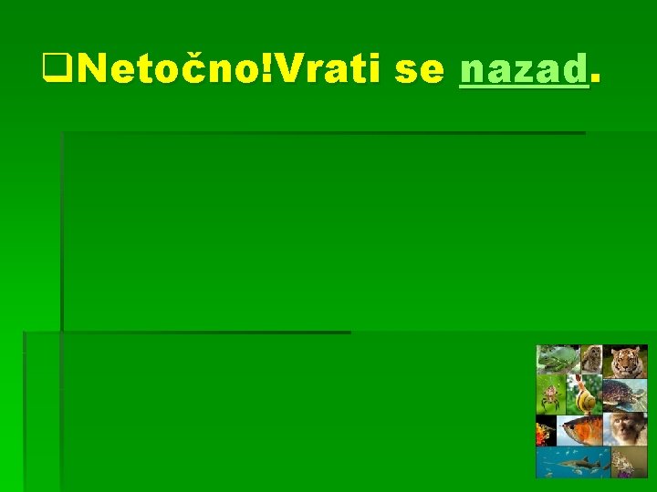 q. Netočno!Vrati se nazad. 