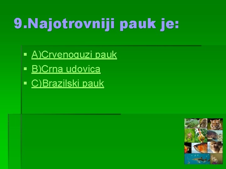 9. Najotrovniji pauk je: § § § A)Crvenoguzi pauk B)Crna udovica C)Brazilski pauk 