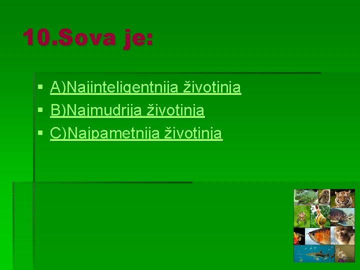 10. Sova je: § § § A)Najinteligentnija životinja B)Najmudrija životinja C)Najpametnija životinja 