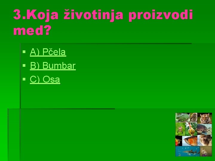 3. Koja životinja proizvodi med? § § § A) Pčela B) Bumbar C) Osa