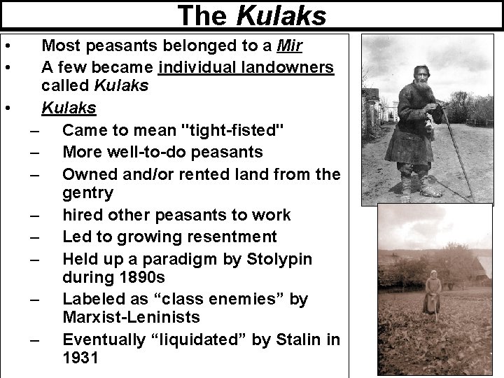 The Kulaks • • • Most peasants belonged to a Mir A few became